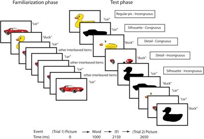 Brain Measures of Toddlers’ Shape Recognition Predict Language and Cognitive Skills at 6–7 Years
